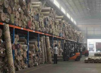 Easy & Secure Carpet Storage with Xtended Space Warehouse