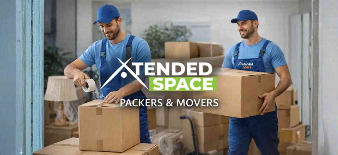 professional movers